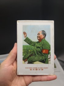 毛主席 （摆件）毛主席接见红卫兵，瓷板画，瓷砖画 7 中国湖南 HUNAN CHINA 3