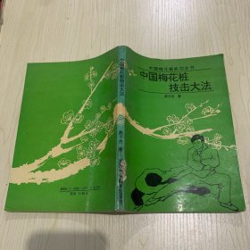 中国梅花桩技击大法.