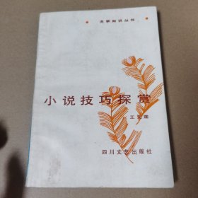 小说技巧探赏