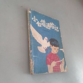 小白鴿遇險(xiǎn)記