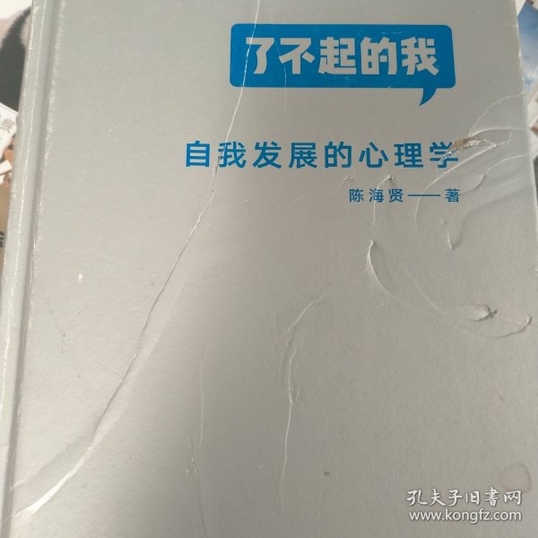 了不起的我：自我发展的心理学