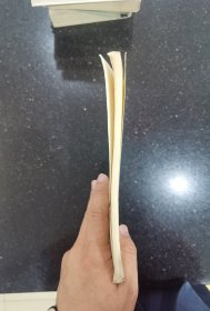 中国少数民族简史丛书 回族简史