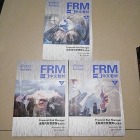 FRM一级中文教材（上中下）【16开】