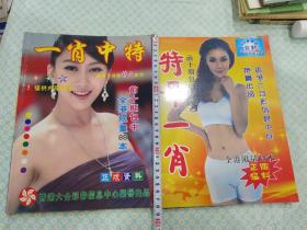 特平一肖