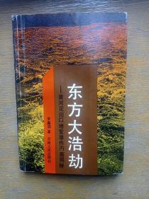 東方大浩劫-黃河花園口堵復(fù)事件內(nèi)幕揭秘