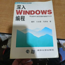 深入Windows编程:Windows加密及压缩软件编程技巧与方法