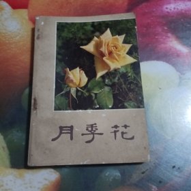 月季花