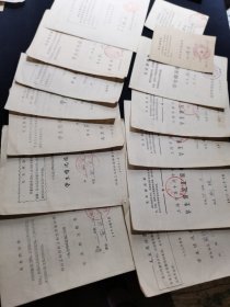 70年代学生情况汇报单（大小共14张）