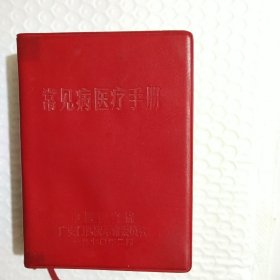 常见病医疗手册 （有勘误表）