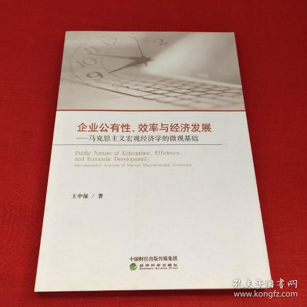 企业公有性、效率与经济发展：马克思主义宏观经济学的微观基础