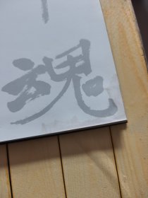 铁甲魂:一个坦克兵镜头里的世界