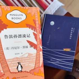 鲁滨孙漂流记