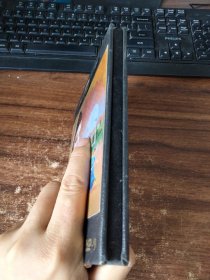 印巴情缘DVD(单碟）