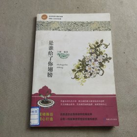 是谁给了你翅膀