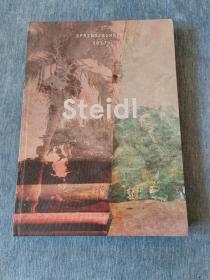 steidl 2017