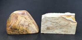《中国辽西狼鳍鱼化石》随赠寿山石章料1枚，案几神物