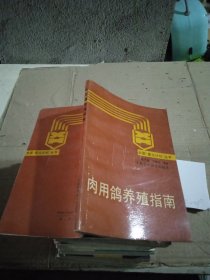 肉用鴿養(yǎng)殖指南