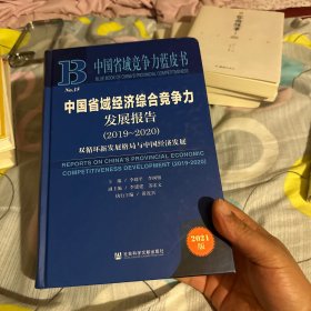 中国省域经济综合竞争力发展报告(2019-2020双循环新发展格局与中国经济发展2021版)(精