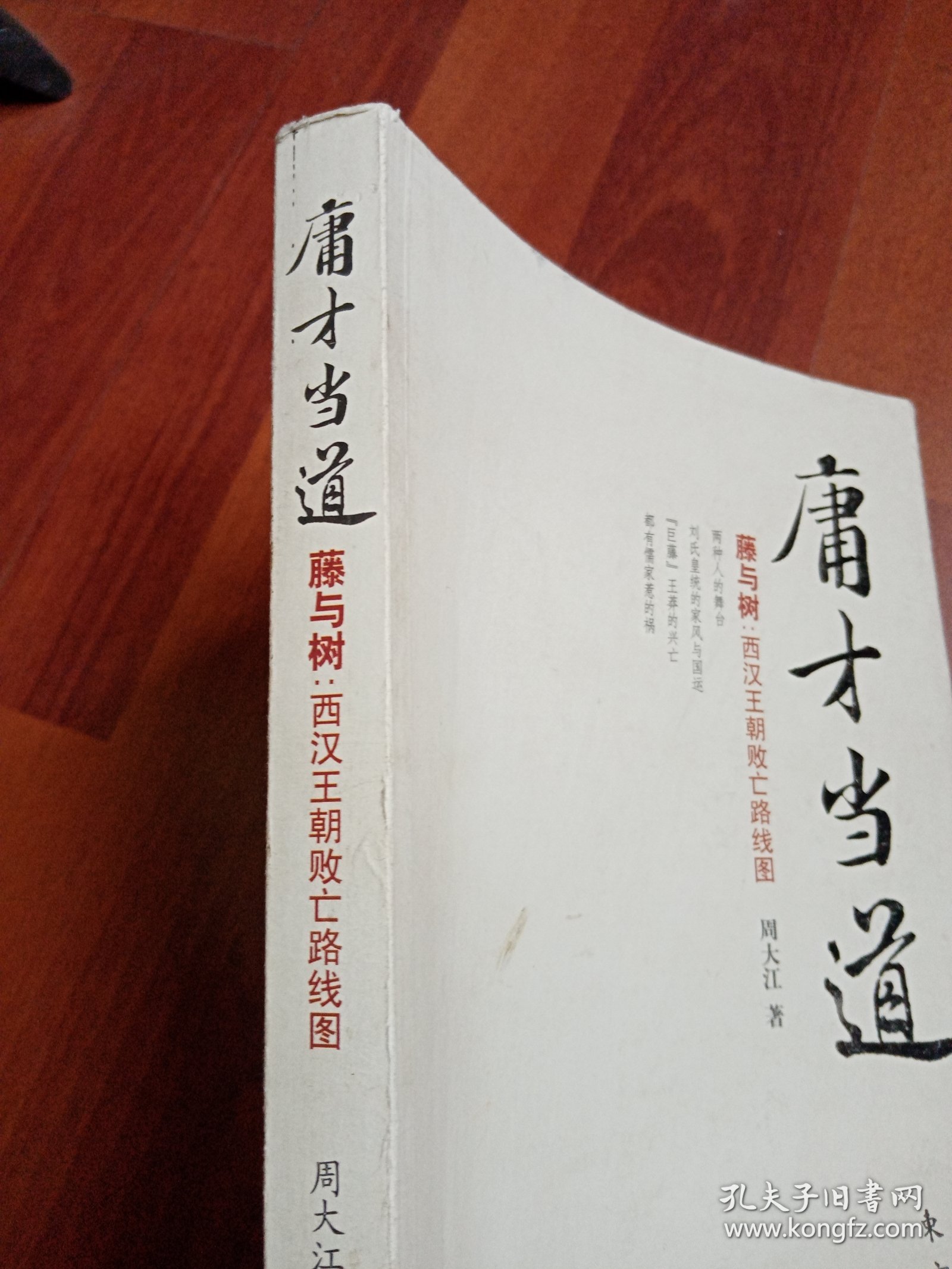 庸才当道：藤与树（西汉王朝败亡路线图）