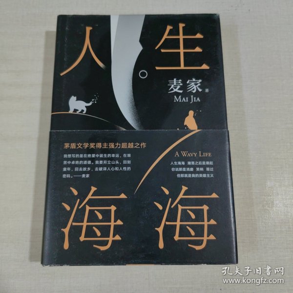 麦家：人生海海（茅盾文学奖得主麦家2019年强力之作）