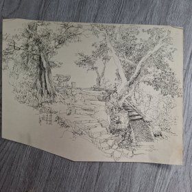 西湖孤山后（80年代钢笔画