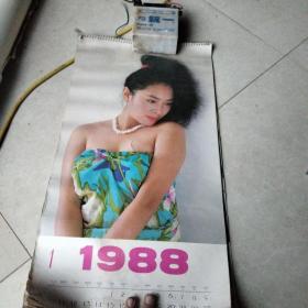 1988年美女明星挂历12张。