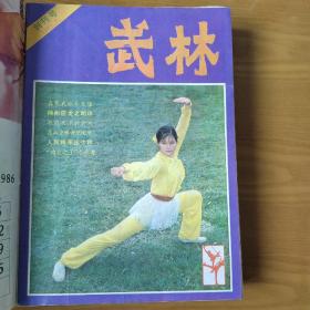 武林1981（1.2.3）1982（1--12）共15合订本