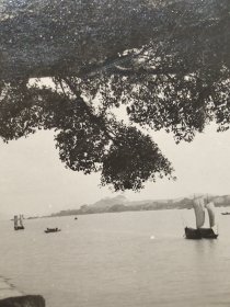 建国初期江南风景老照片