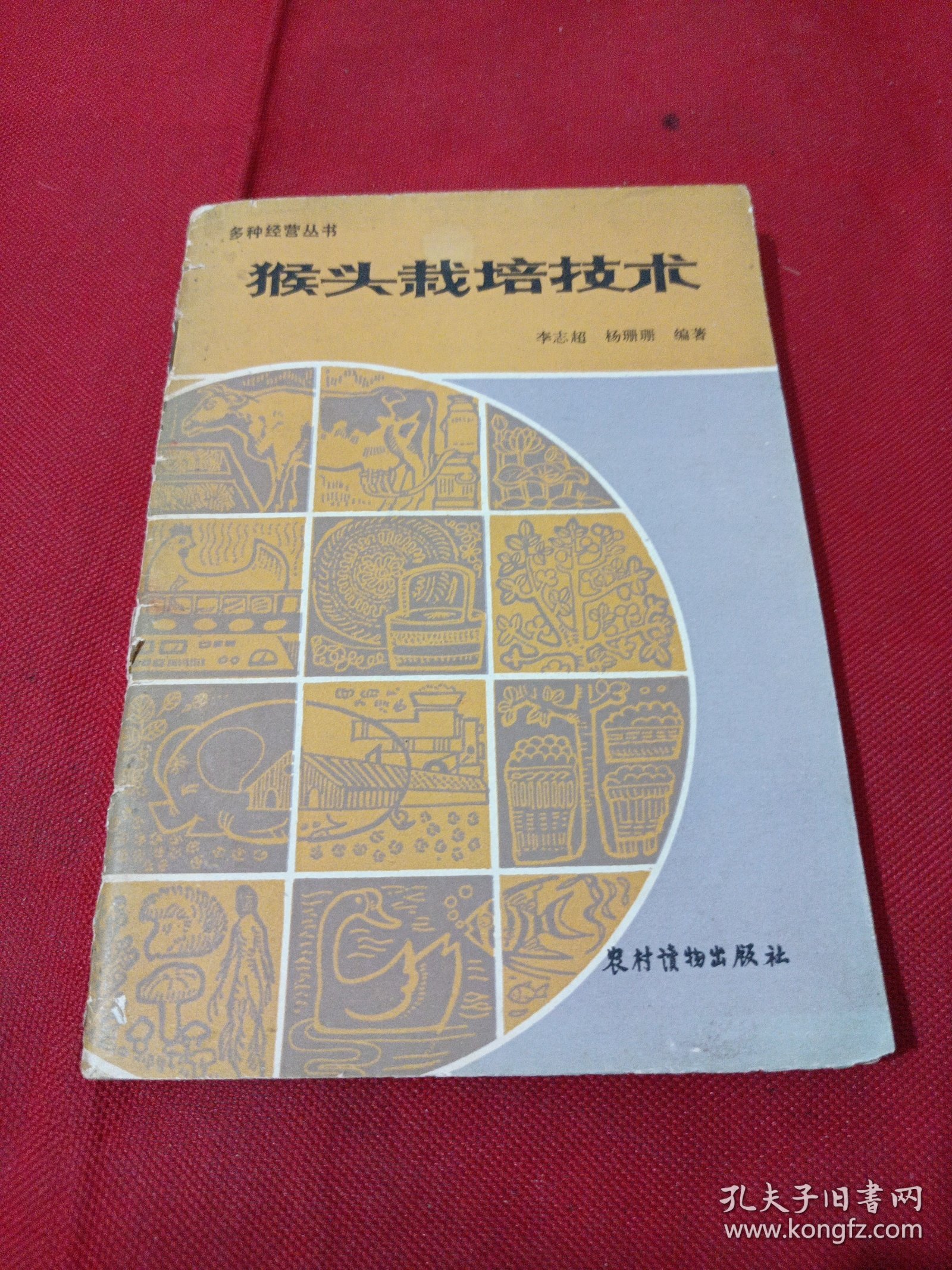 22A32：猴头栽培技术