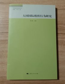 大国国际组织行为研究