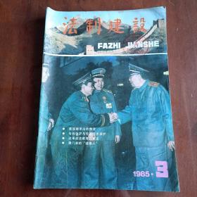 法制建设1985 3