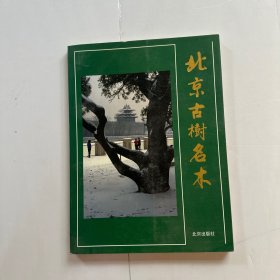 北京古樹名木