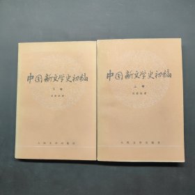 中国新文学史初稿（共两卷）