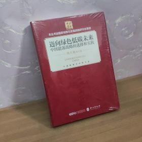 迈向绿色低碳未来(中文精装)/中国能源战略的选择和实践