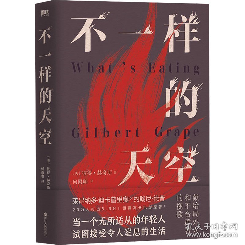 不样的空 9787213113376