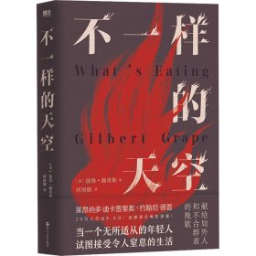 不样的空 9787213113376
