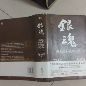 银魂：张嘉璈和他的时代