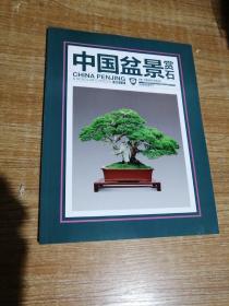 中国盆景赏石（2021年第5期）