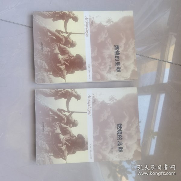 燃烧的岛群(上下)：宋宜昌二战军史小说系列