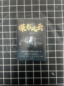 谍影风云 2