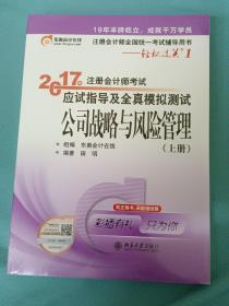 东奥会计在线 轻松过关1 2017年注册会计师考试教材辅导 应试指导及全真模拟测试：公司战略与风