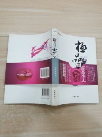 極品小子2