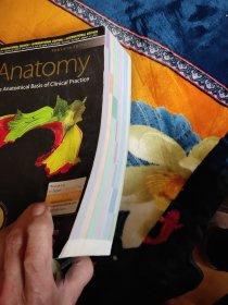 Gray's Anatomy : The Anatomical Basis of Clinical Practice