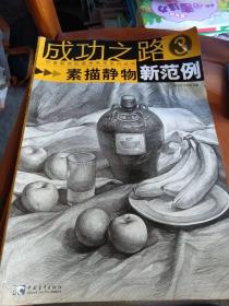 成功之路：素描静物新范例3