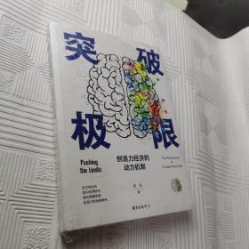 突破极限：创造力经济的动力机制