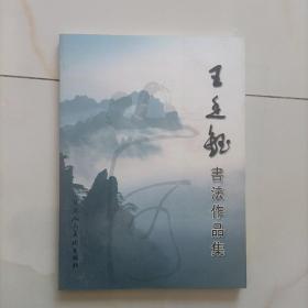 王廷钰书法作品集