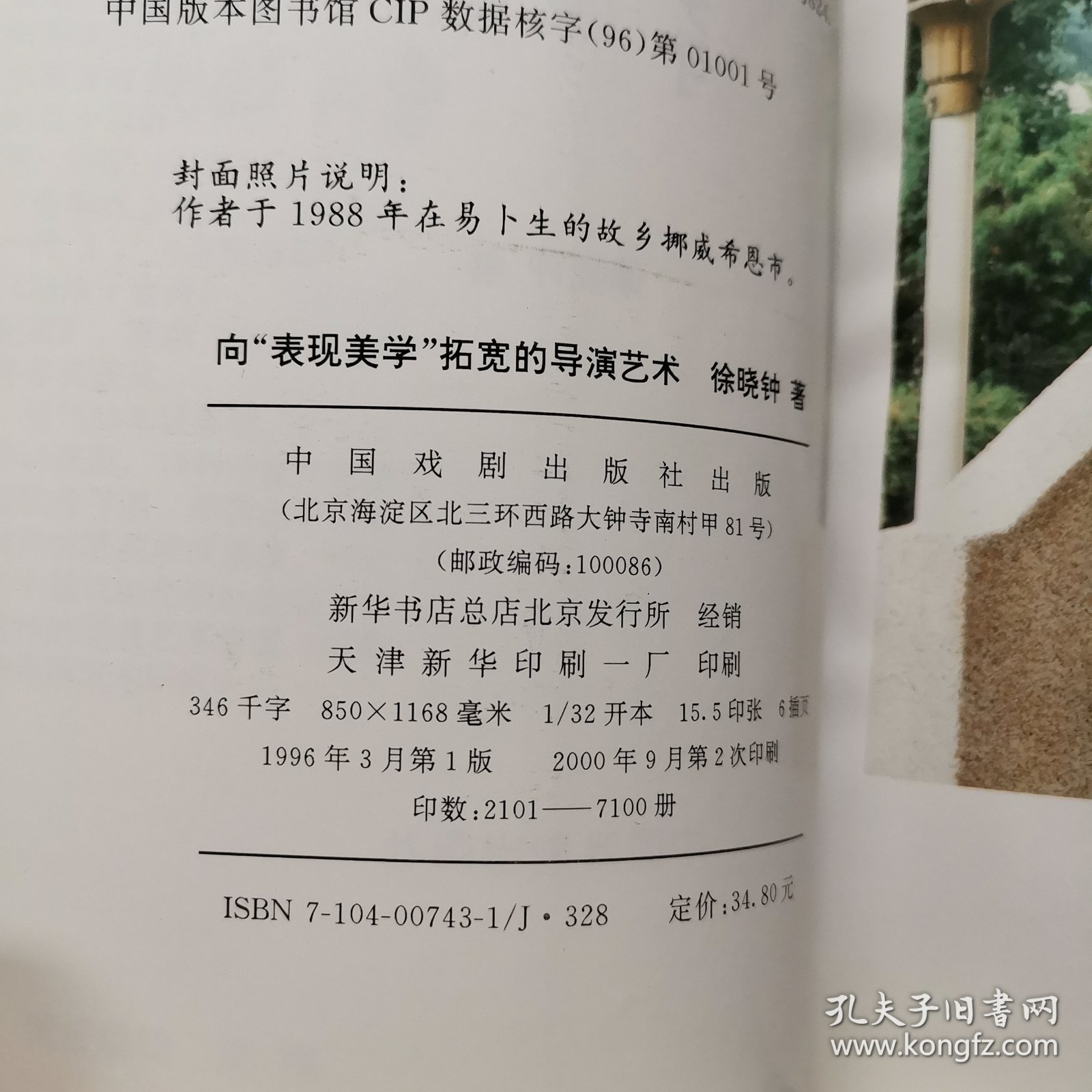 向“表现美学”拓宽的导演艺术