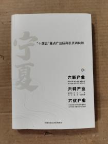宁夏“十四五”重点产业招商引资项目册