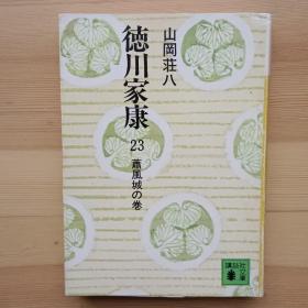 日文书 徳川家康 23　萧风城の巻 （讲谈社文库） 山冈荘八