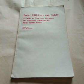 Boiler  Efficiency  and  safety锅炉的安全和效率